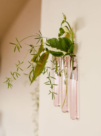 3 Tubes - Walleaf